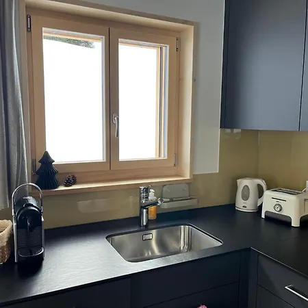 Cozy Alpine - Titlis Lift Just Steps Away *